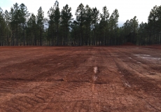 Photo-Jan-21-3-58-07-PM